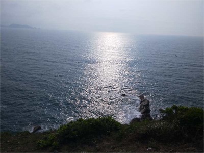 1524537180326880.jpg 楊梅坑-4.jpg