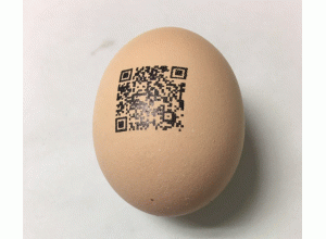 uv led噴碼機.gif uv led噴碼機.gif